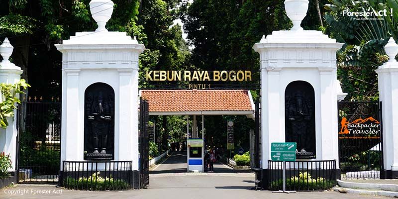 Kebun Raya Bogor. (Foto: Pinterest)