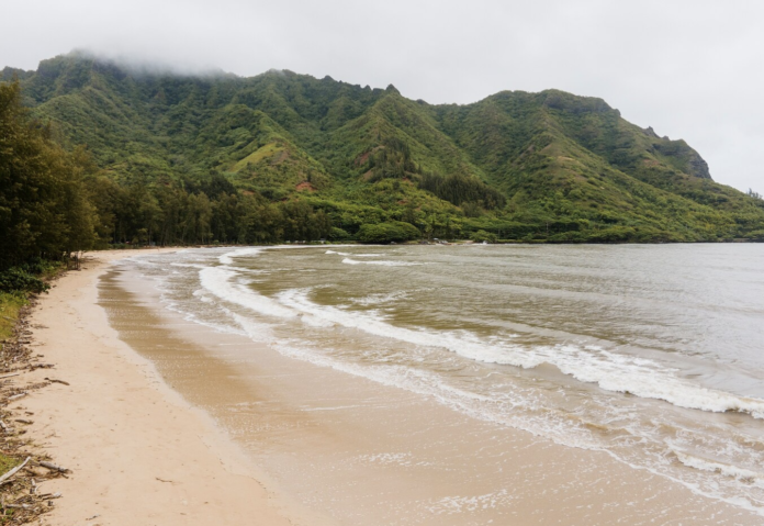 Pantai Parangtritis (Freepik)