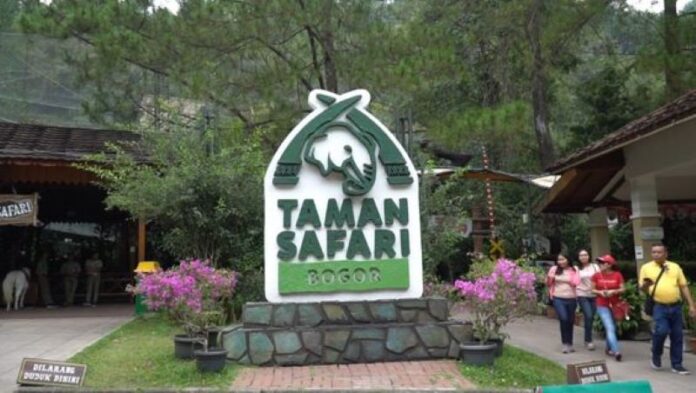 Taman Safari Indonesia. (Foto: Pinterest)