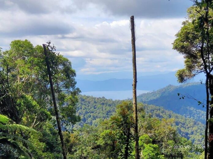 Taman Nasional Lore Lindu (Instagram/like_palu)