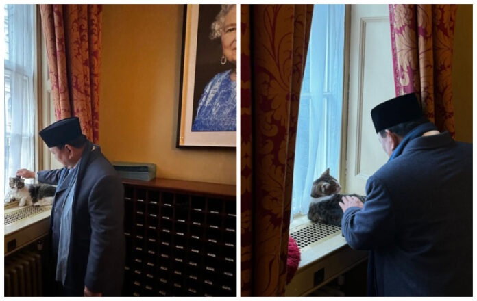 Presiden Prabowo bertemu Larry the cat. (Foto: instagram pribadi @prabowo)