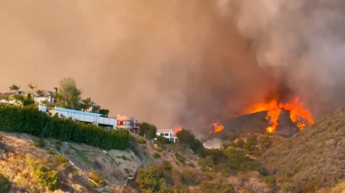 Kebakaran hutan di wilayah Los Angeles menyebabkan ribuan rumah mewah hangus terbakar pada Kamis (9/1/2025). (Foto: Istimewa/X/FireGirlPhoto)